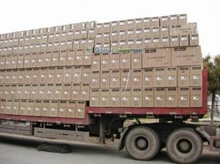 供應東莞到桂林行李托運 桂林物流搬家搬廠 東莞到桂林貨運專線_交通運輸_世界工廠網(wǎng)中國產(chǎn)品信息庫